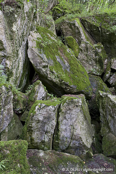 bois et rochers
wood and rocks